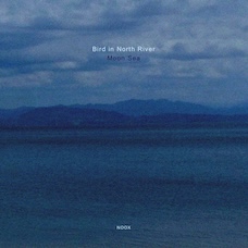 Jacket image of moon sea